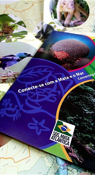 design de marca, design embalagem, design gráfico